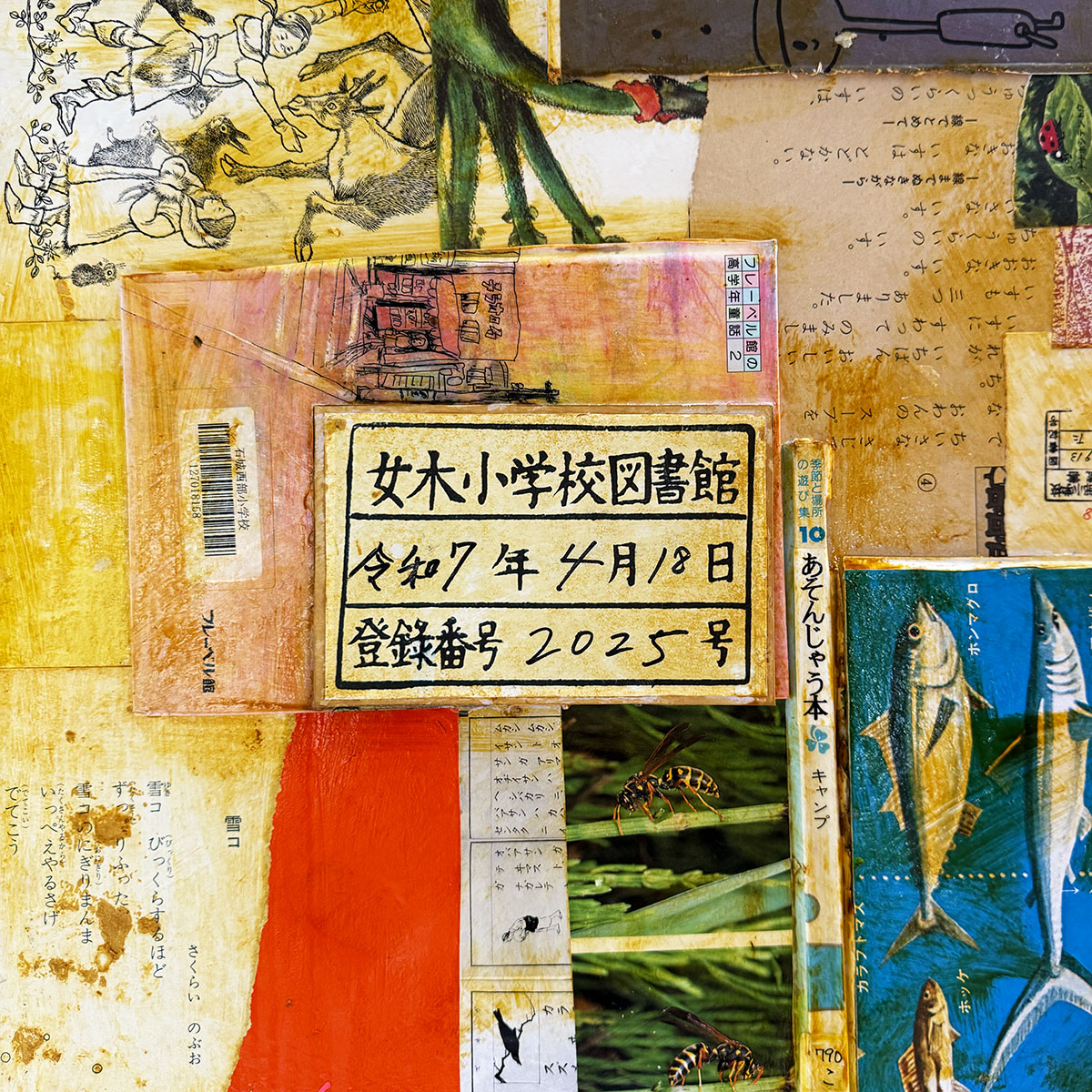 内容